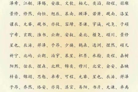 2019年5月10号丑时出生的男孩起名方法姓名