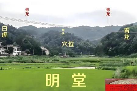 公墓风水的选择要点有哪些