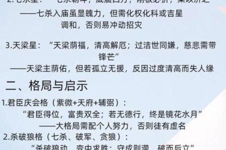 紫薇斗数三大格局