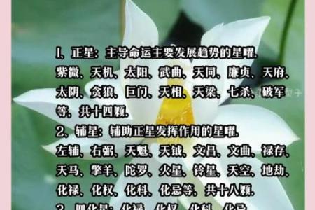 风水中的水口和曜星指什么，分别起什么作用？_1