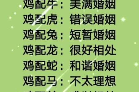 天作之合的三大生肖配对，默契十足，感情美满