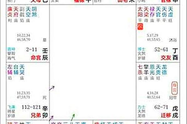 紫薇斗数金星