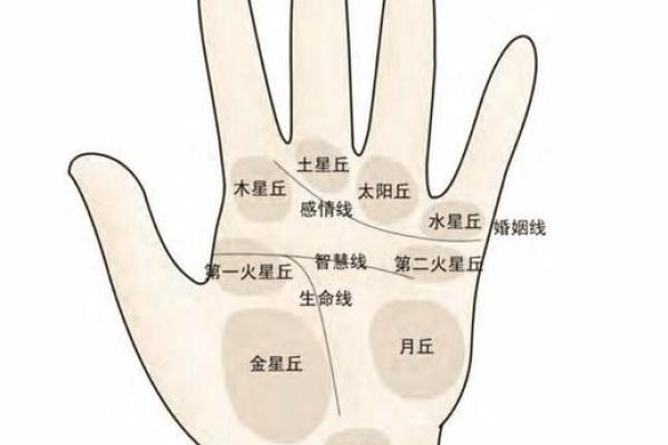 图解：手相希望线算命会得到结果