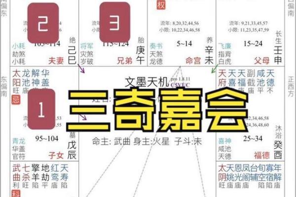 加会紫薇斗数