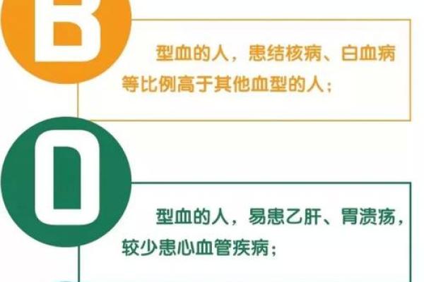 血型完美妻子的解析