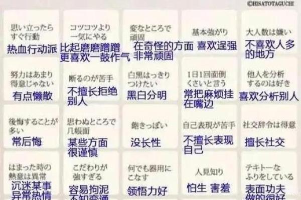 血型完美妻子的解析