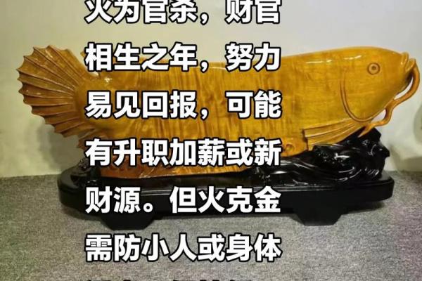 风水中炉中火命的男人命运好不好