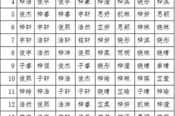 2019年4月28号卯时出生的男孩应该起什么样的名字姓名