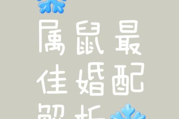 属鼠的女人和什么属相最配对 属鼠的女人和什么属相最配婚姻