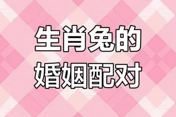 生肖兔的最佳婚配 谁跟属兔人更配对