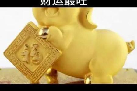 属猪是哪一年出生的 属猪的男孩出生吉日