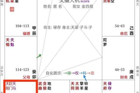 加会紫薇斗数