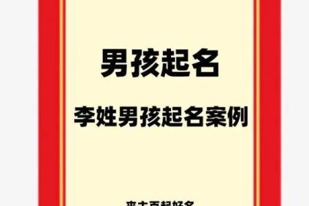 半夜出生属兔的男孩应该怎么样去名字呢姓名