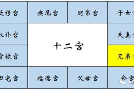 紫微斗数诸星落诸宫之：巨门星兄弟宫详解