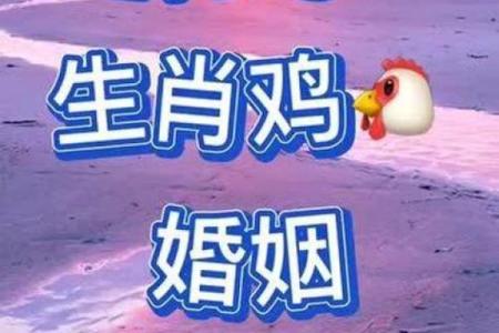 1981年属什么生肖配对