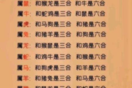 天作之合的三组生肖配对