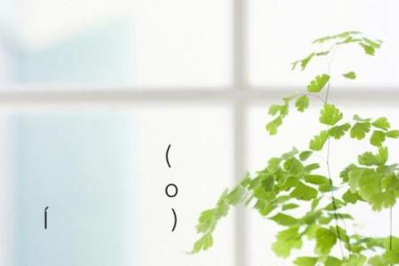 月老灵签36签解签