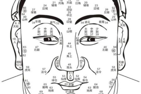 人中看相算命图解大全
