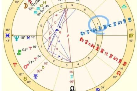 星盘十二宫代表什么 十二宫位详解