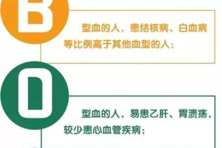 血型完美妻子的解析