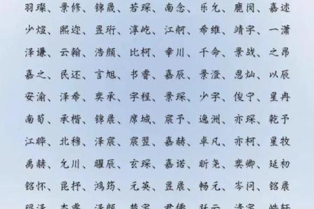 2019年6月11号卯时出生的男孩起名方法姓名