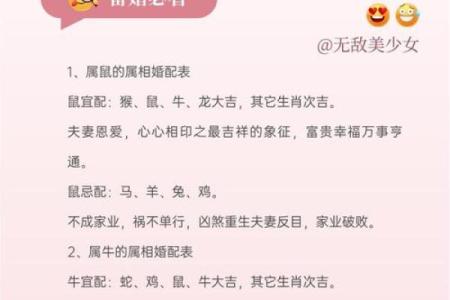 七九年属什么生肖配对