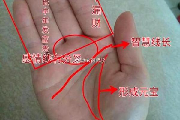 图解：手相小人纹如何算命