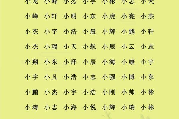 教你给属鸡酉时出生的男孩起名的实用技巧姓名