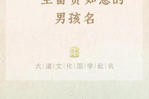 教你给属鸡酉时出生的男孩起名的实用技巧姓名
