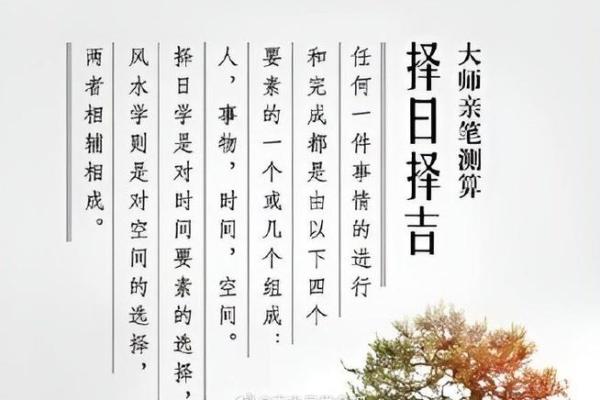 八字与开店