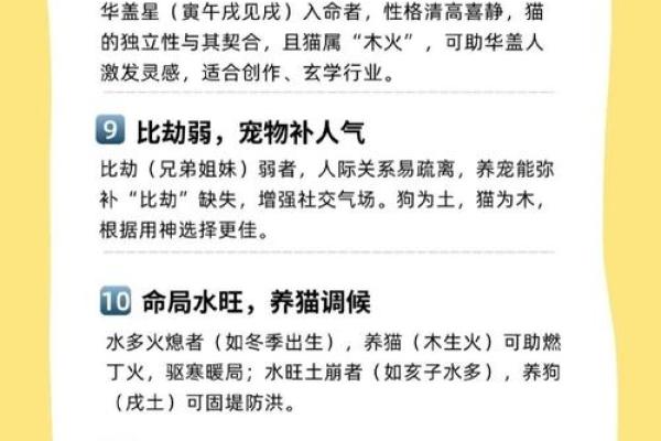 命理八字看你适合哪种类型的老公