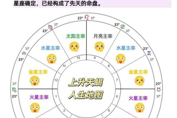以小花星座为中心，探秘星座性格特点，了解12星座命运轨迹！