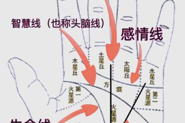 风水手相怎么看生命线断开是什么意思