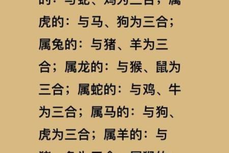 1996年属什么生肖配对