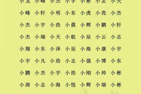 教你给属鸡酉时出生的男孩起名的实用技巧姓名