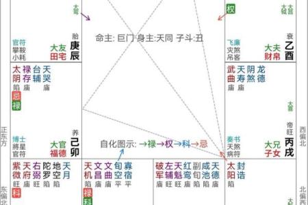 紫薇斗数怎么看命宫6