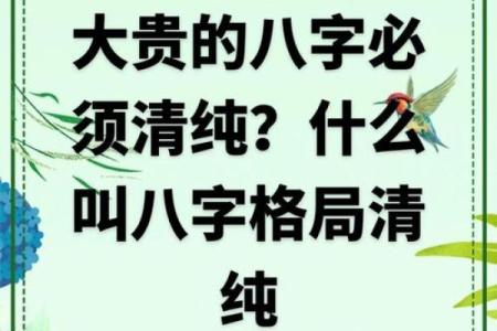 八字免费算命
