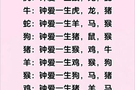 十二生肖配对表