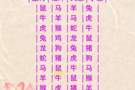 婚姻大忌的生肖配对