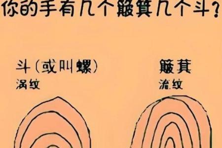 手指上的斗和簸箕代表什么 十个簸箕 簸箕和斗算命