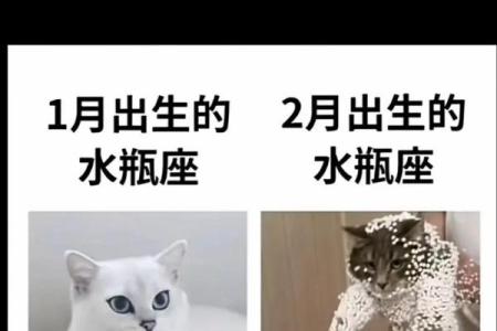 水瓶座男 水瓶座男生配对星座女