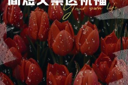 财神爷生日是阳历几月几号  财神爷是哪一天生日