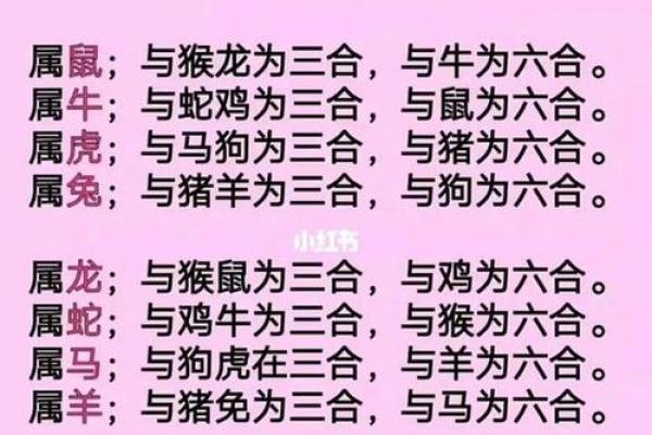 生肖配对表 年份生肖配对表