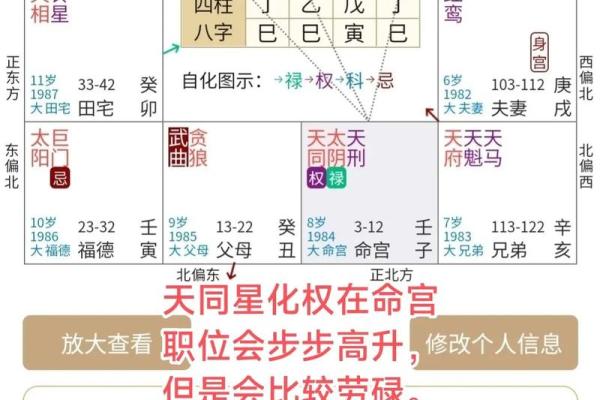 周易紫微斗数——五行职业论