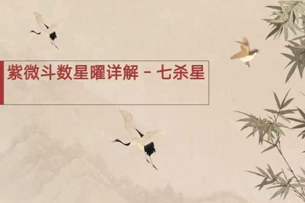 紫薇斗数七杀平