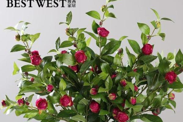 假花摆放在家里影响风水有哪些方面呢