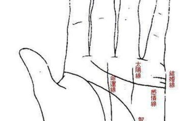 看手相算命图解：手相看婚姻