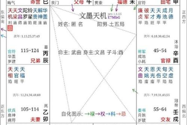 紫薇斗数导语