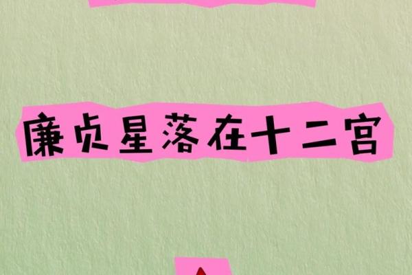 紫薇斗数导语