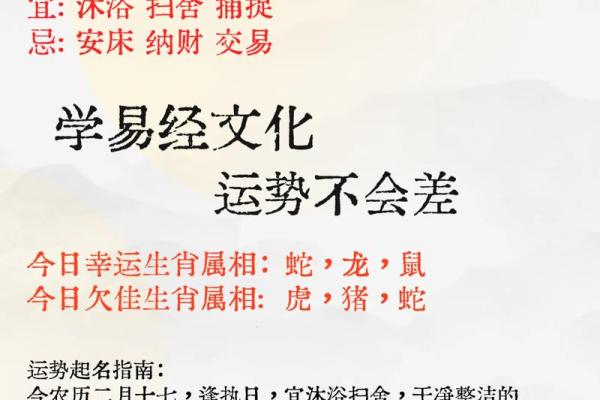 属龙和属鼠的八字合吗